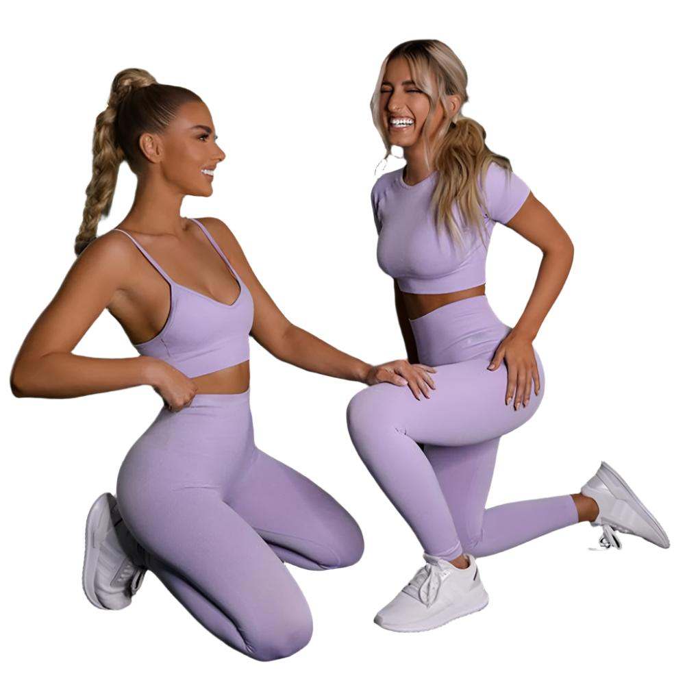 Seamless Yoga Sport Fitness Women Leggings and Short Sleeve Tops - Plush Fashion Shop #