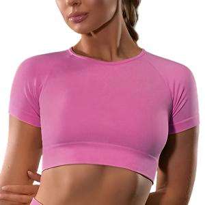 Seamless Yoga Sport Fitness Women Leggings and Short Sleeve Tops