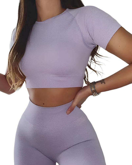 Seamless yoga sport fitness women leggings and short sleeve top in light purple.