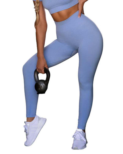 Seamless Yoga Sport Fitness Women Leggings and Short Sleeve Tops - Plush Fashion Shop #