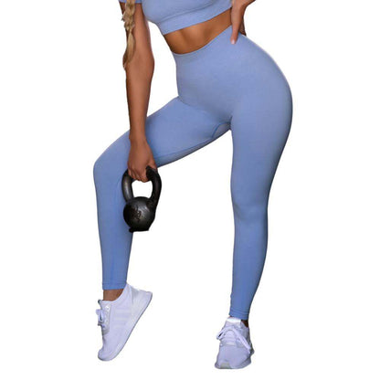 Seamless Yoga Sport Fitness Women Leggings and Short Sleeve Tops - Plush Fashion Shop #