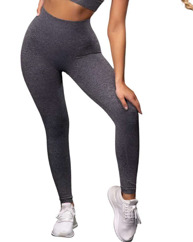 Seamless Yoga Sport Fitness Women Leggings and Short Sleeve Tops - Plush Fashion Shop #