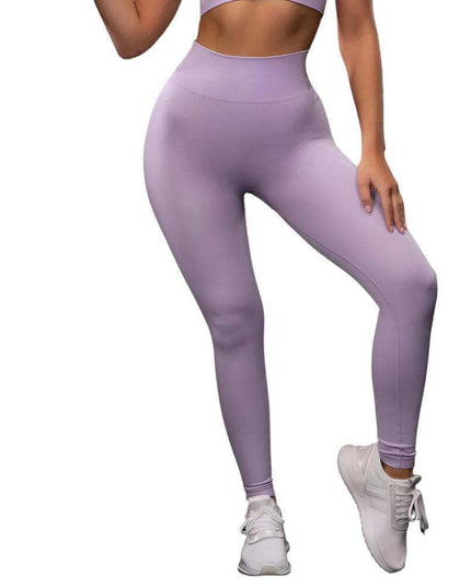 Seamless Yoga Sport Fitness Women Leggings and Short Sleeve Tops - Plush Fashion Shop #