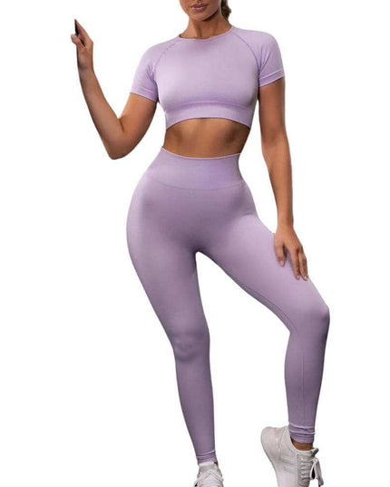 Seamless Yoga Sport Fitness Women Leggings and Short Sleeve Tops - Plush Fashion Shop #