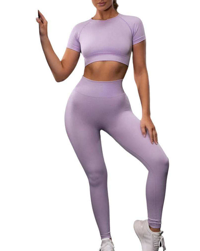 Seamless Yoga Sport Fitness Women Leggings and Short Sleeve Tops - Plush Fashion Shop #