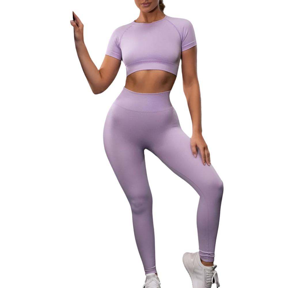 Seamless Yoga Sport Fitness Women Leggings and Short Sleeve Tops - Plush Fashion Shop #