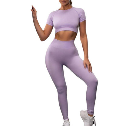 Seamless Yoga Sport Fitness Women Leggings and Short Sleeve Tops - Plush Fashion Shop #