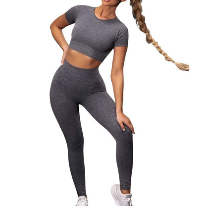 Seamless Yoga Sport Fitness Women Leggings and Short Sleeve Tops - Plush Fashion Shop #