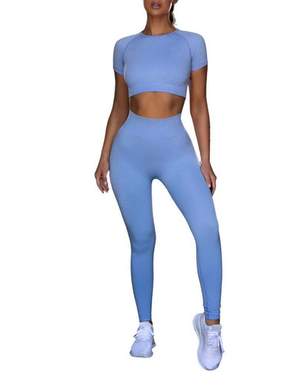 Seamless Yoga Sport Fitness Women Leggings and Short Sleeve Tops - Plush Fashion Shop #