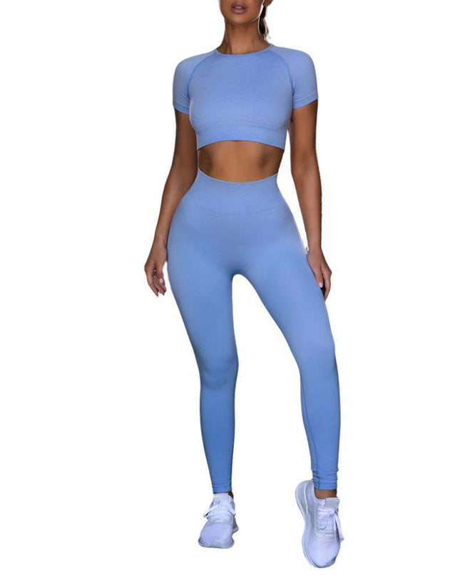 Seamless Yoga Sport Fitness Women Leggings and Short Sleeve Tops - Plush Fashion Shop #