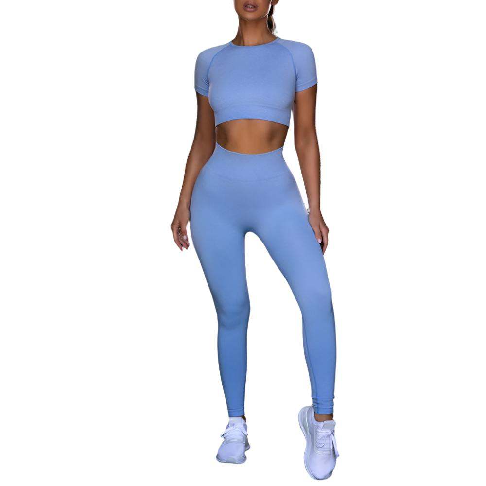 Seamless Yoga Sport Fitness Women Leggings and Short Sleeve Tops - Plush Fashion Shop #