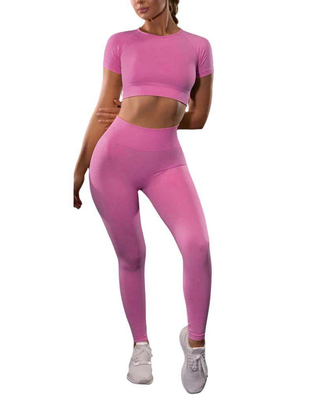 Seamless Yoga Sport Fitness Women Leggings and Short Sleeve Tops - Plush Fashion Shop #