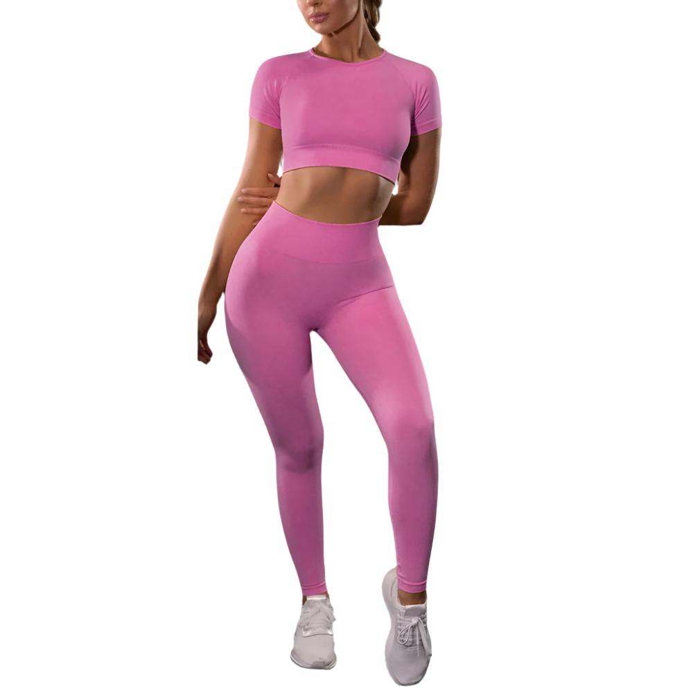 Seamless Yoga Sport Fitness Women Leggings and Short Sleeve Tops - Plush Fashions Shop 