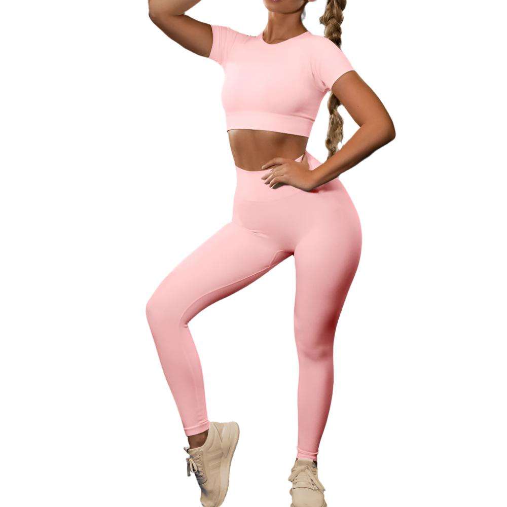 Seamless Yoga Sport Fitness Women Leggings and Short Sleeve Tops - Plush Fashion Shop #