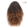 Women's African Drawstring Stretch Small Curly WigExperience effortless style with our Women's African Drawstring Stretch Small Curly Wig. Made with chemical fiber high-temperature wire, this fashionably simple wig WigPlush Fashions ShopPlush Fashion ShopAfrican Drawstring Stretch Small Curly Wig