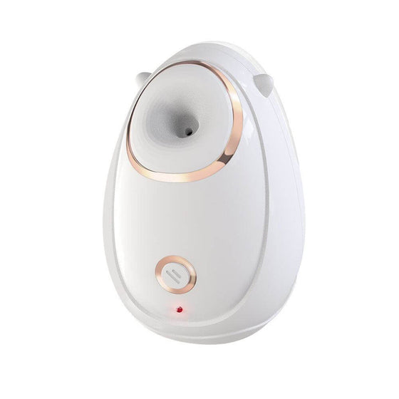 Oval face massage instrument with hot spray steaming function for at-home spa treatment.